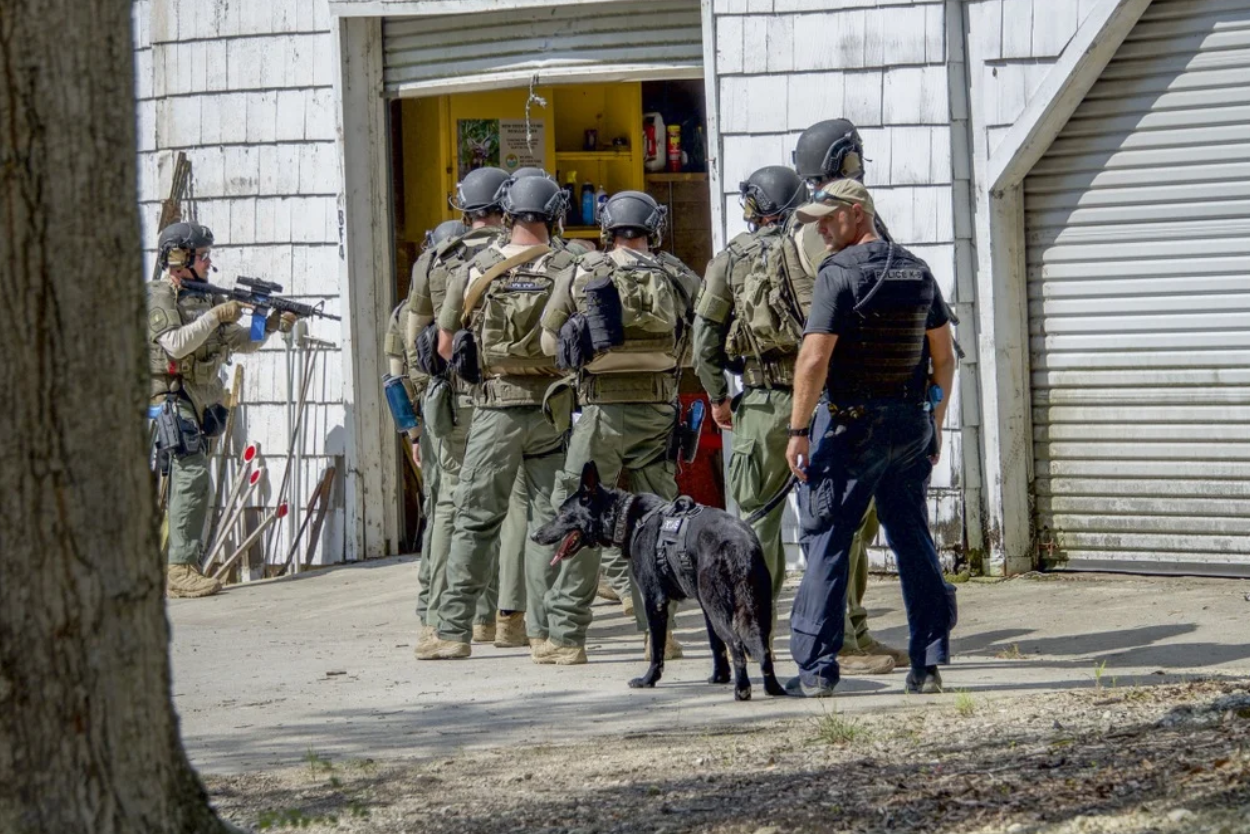 What We Investigate